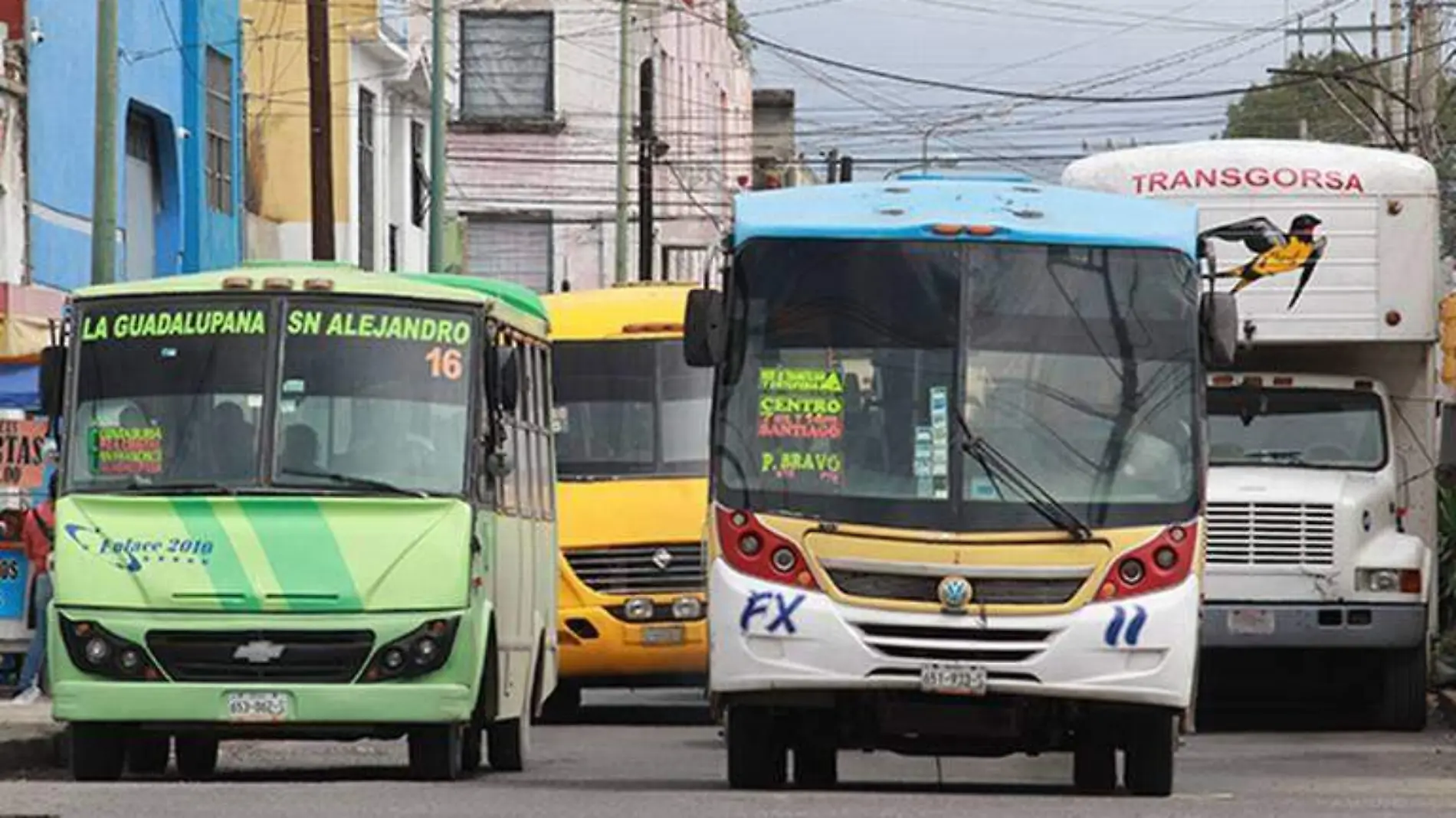 Transporte público